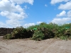 green-waste-stockpiling